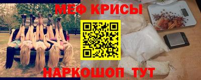 спиды Кингисепп