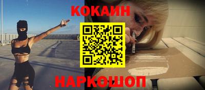 спиды Кингисепп