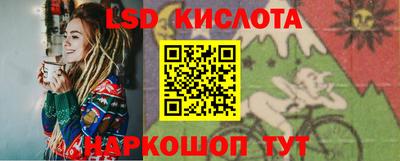 спиды Кингисепп