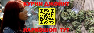 спиды Кингисепп