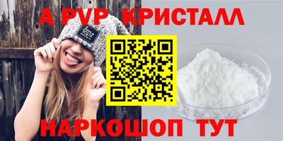 спиды Кингисепп