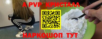 спиды Кингисепп