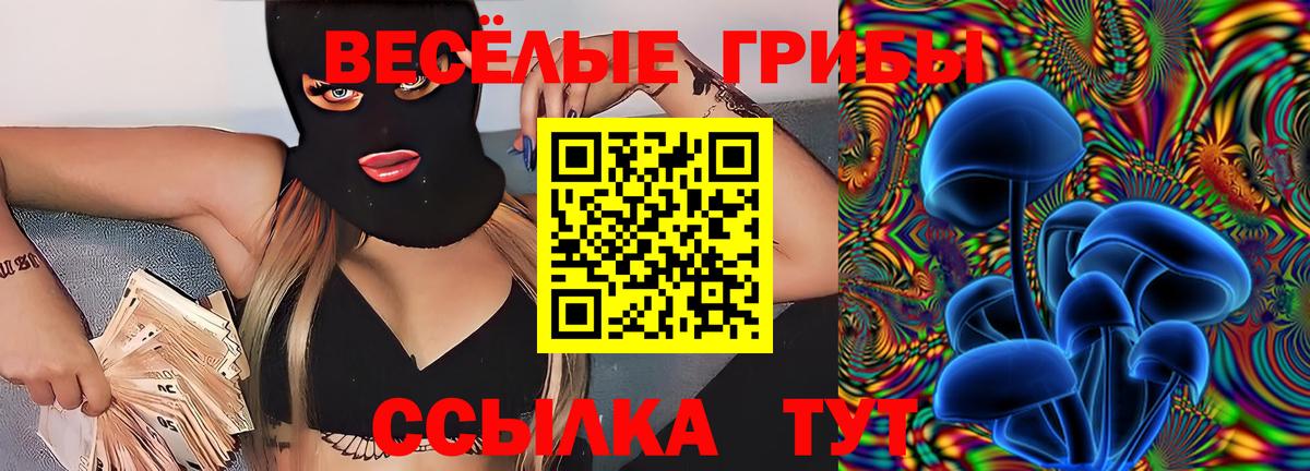 Псилоцибиновые грибы Magic Shrooms Химки