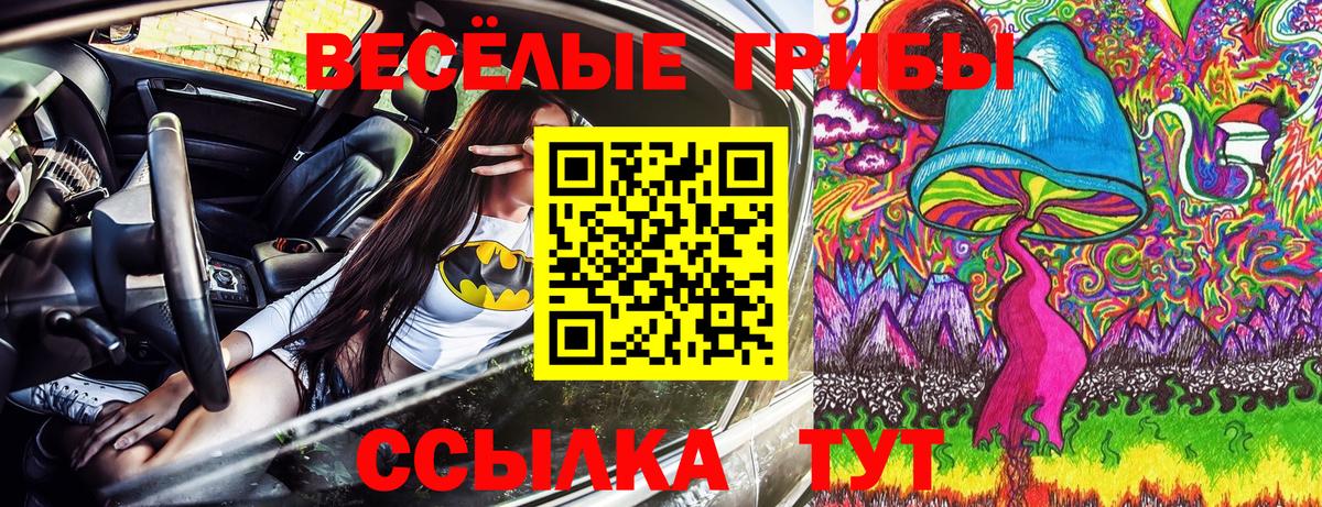 Галлюциногенные грибы GOLDEN TEACHER  Галлюциногенные грибы ЛСД  сколько стоит  Вход с VPN  Химки 